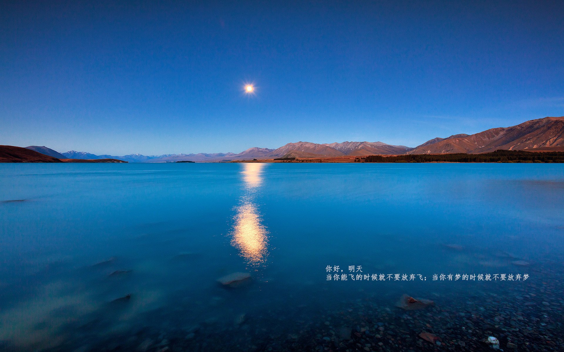 雷火电竞合作-跨界风暴，塞维利亚血拼新西兰，苏亚雷斯NBA季后赛神奇接管