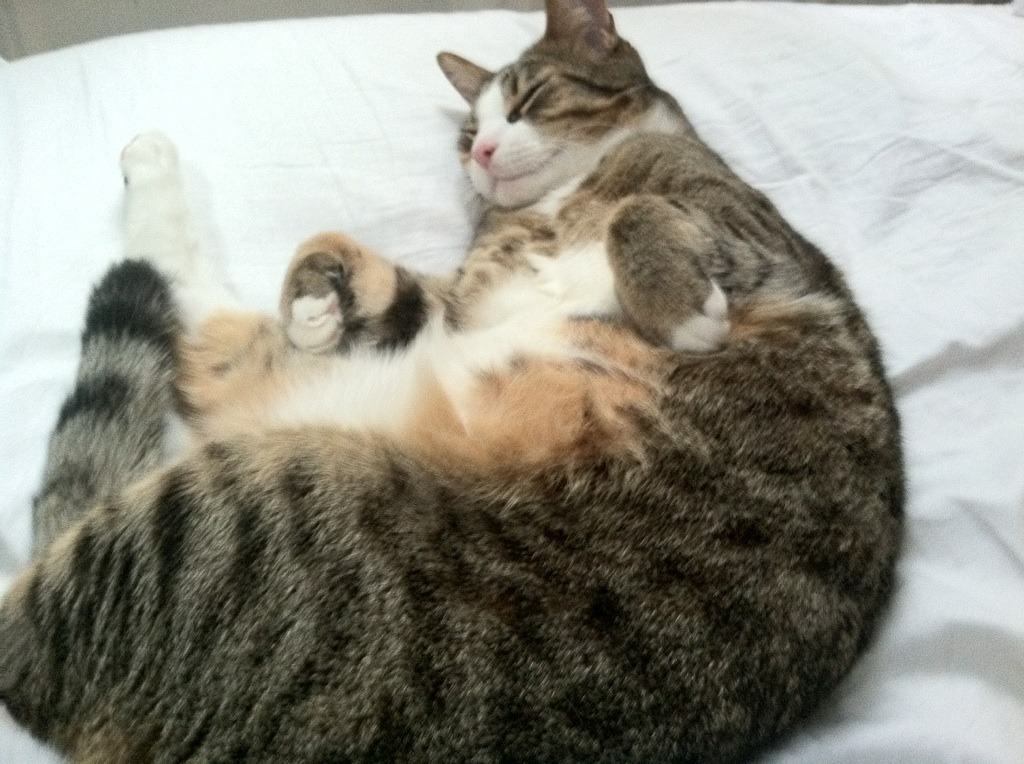 雷火电竞主播-北欧宿敌之战，铁血丹麦用不可复制的瞬间，从美加墨世界杯预选赛最后关头突围挪威